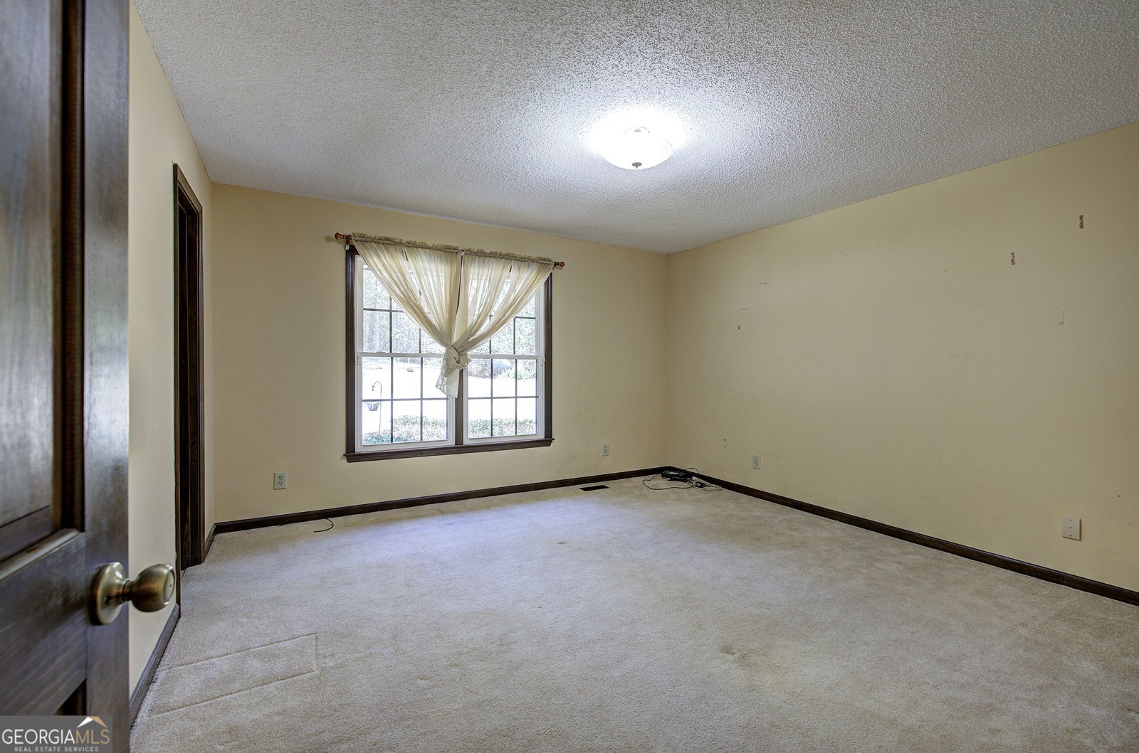 75 Star Wars Path Dallas - Photo 22