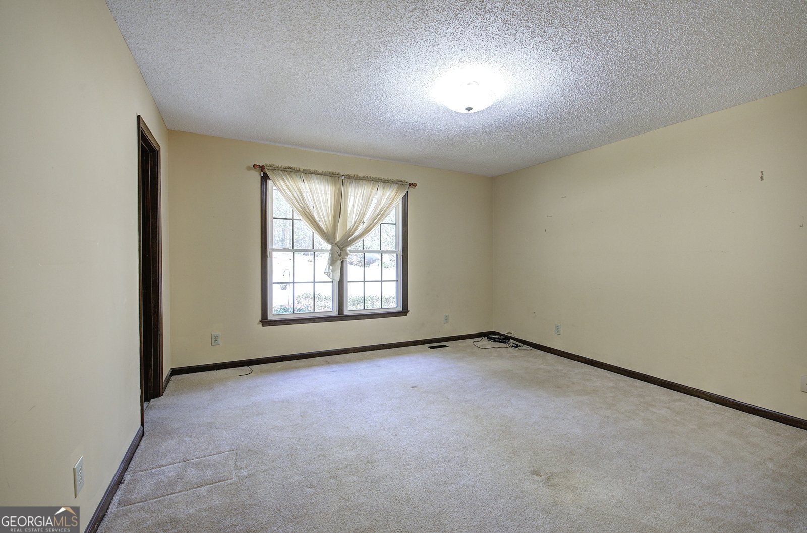 75 Star Wars Path Dallas - Photo 23