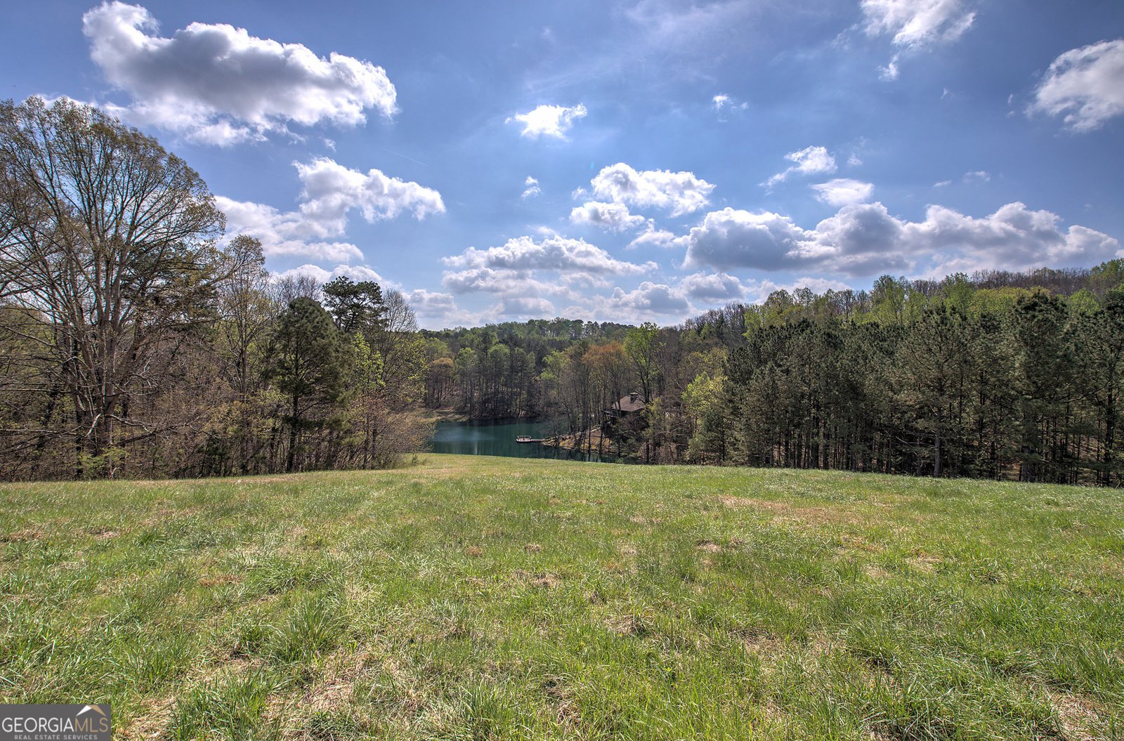 75 Star Wars Path Dallas - Photo 53