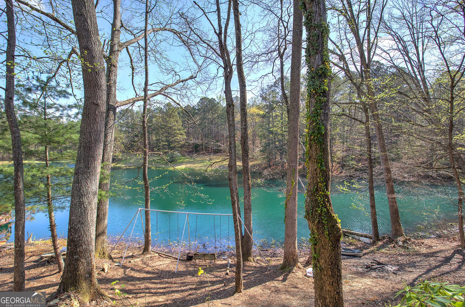 75 Star Wars Path Dallas - Photo 55