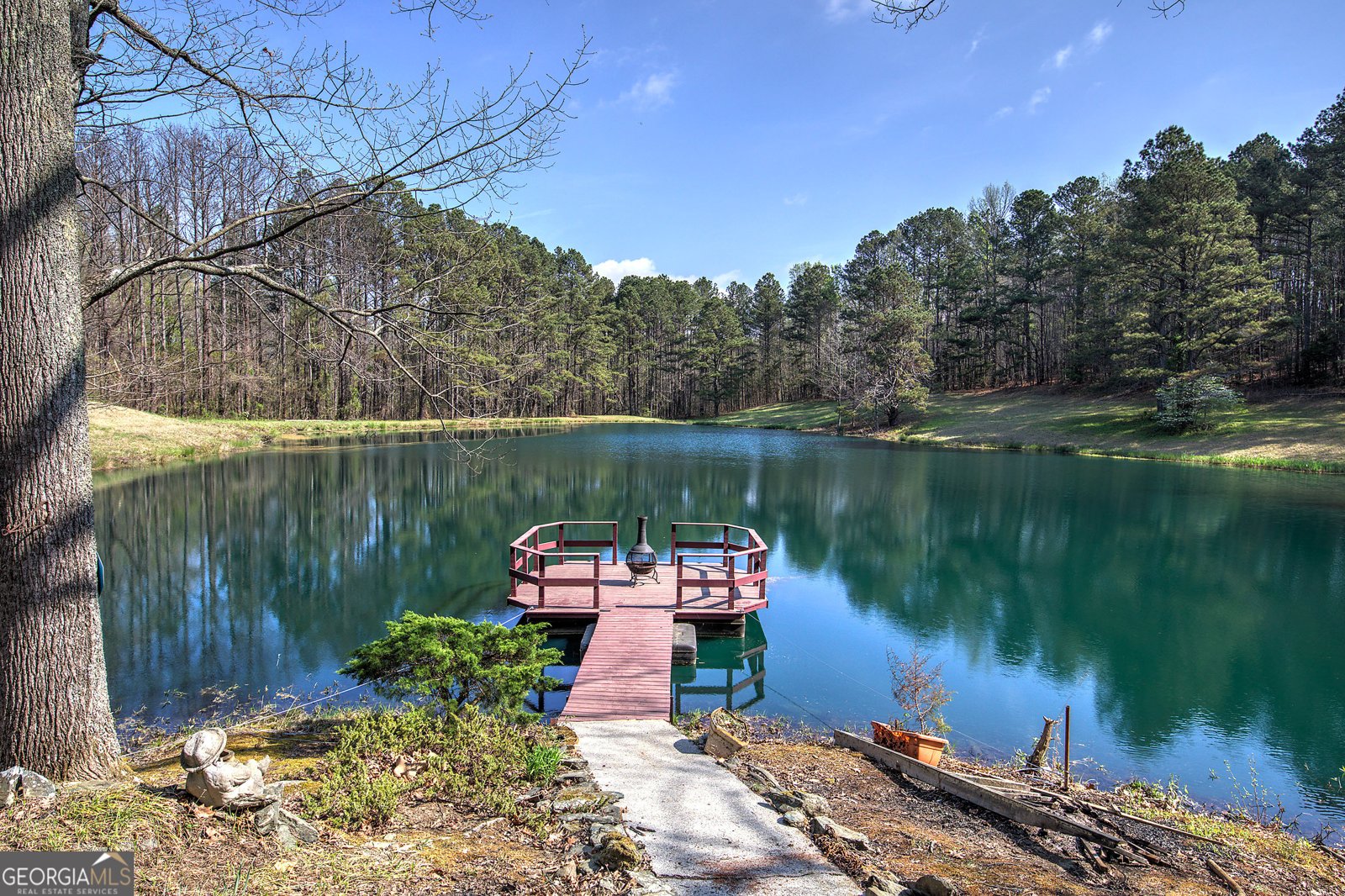 75 Star Wars Path Dallas - Photo 59