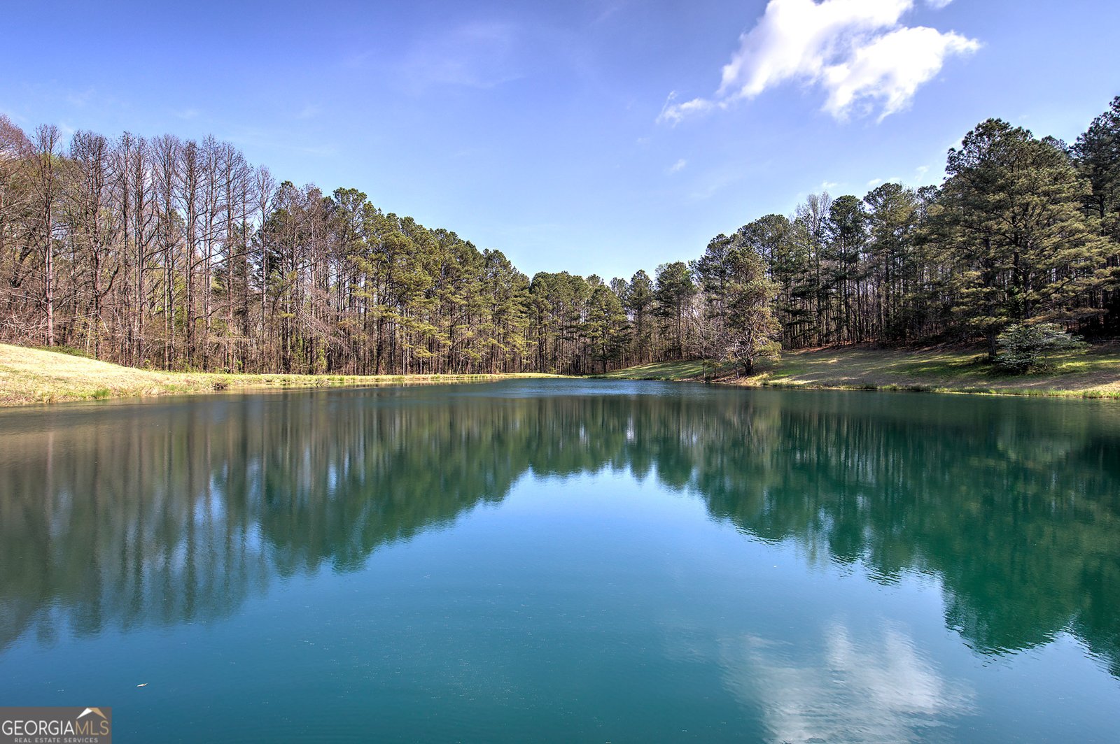 75 Star Wars Path Dallas - Photo 62