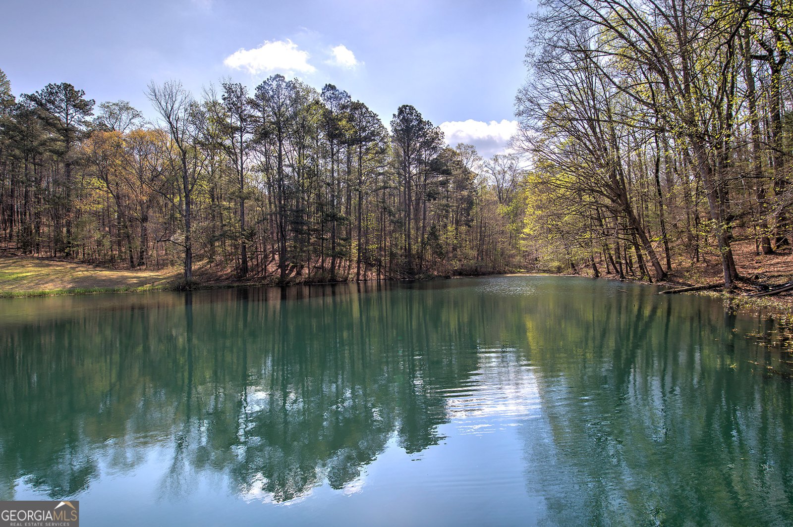 75 Star Wars Path Dallas - Photo 63