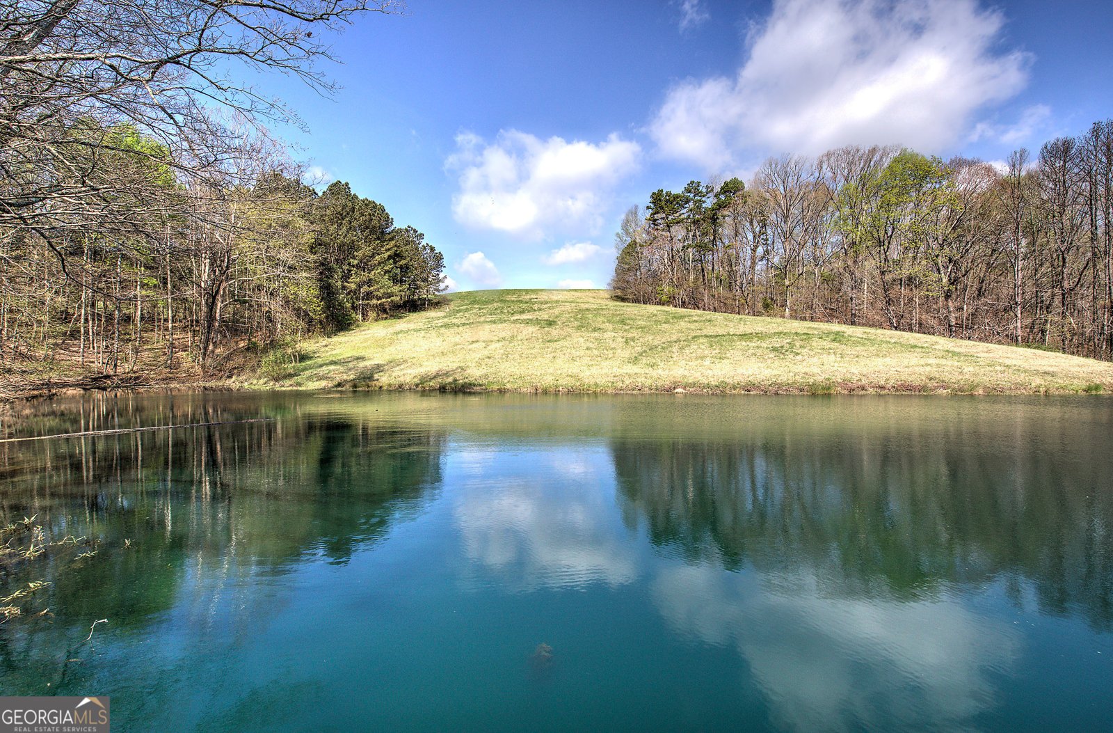 75 Star Wars Path Dallas - Photo 65