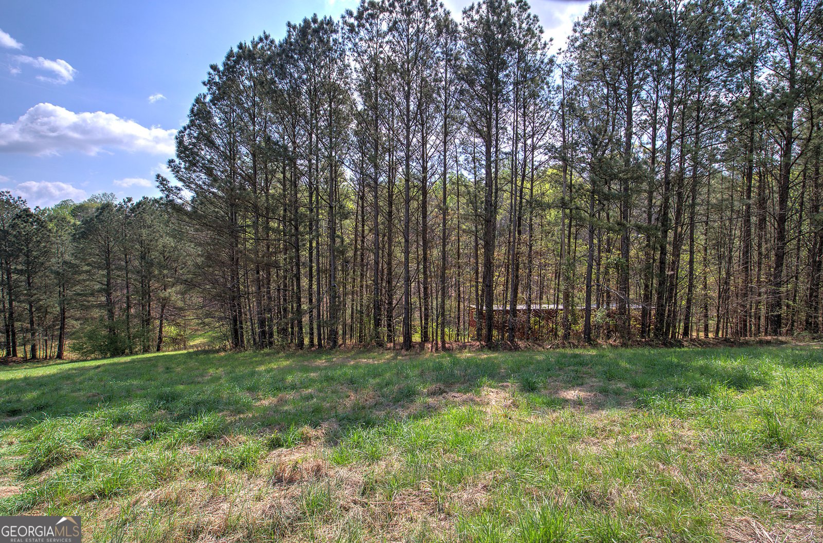 75 Star Wars Path Dallas - Photo 67