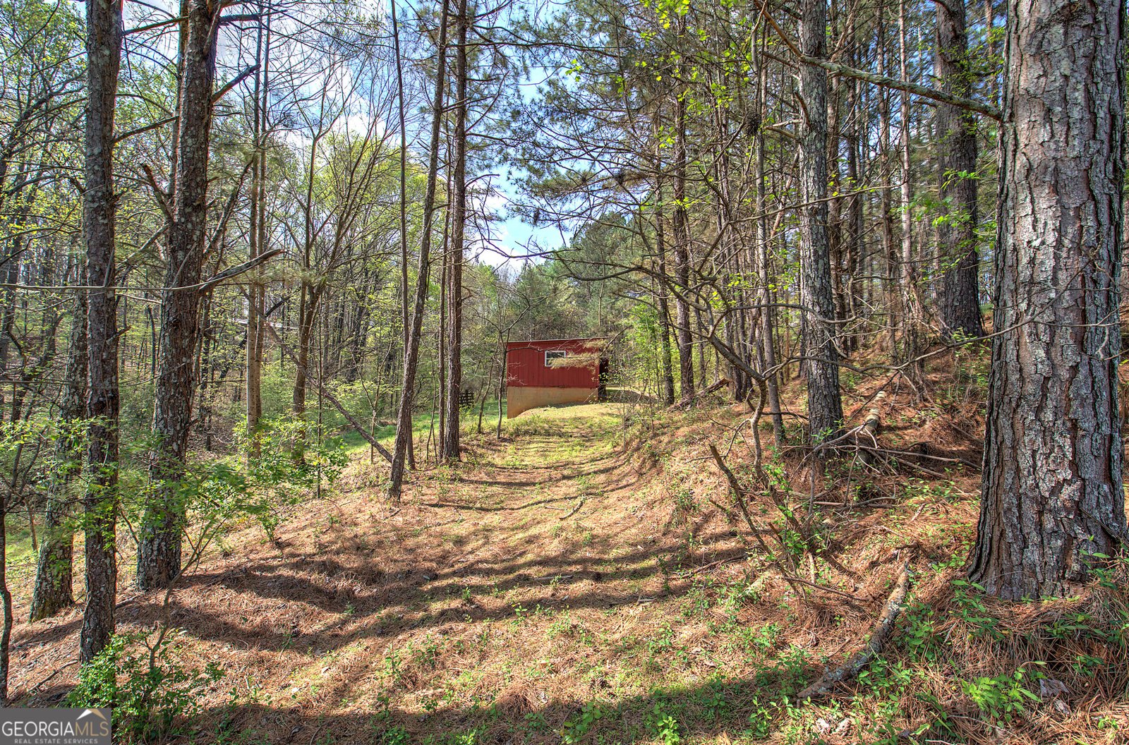 75 Star Wars Path Dallas - Photo 68