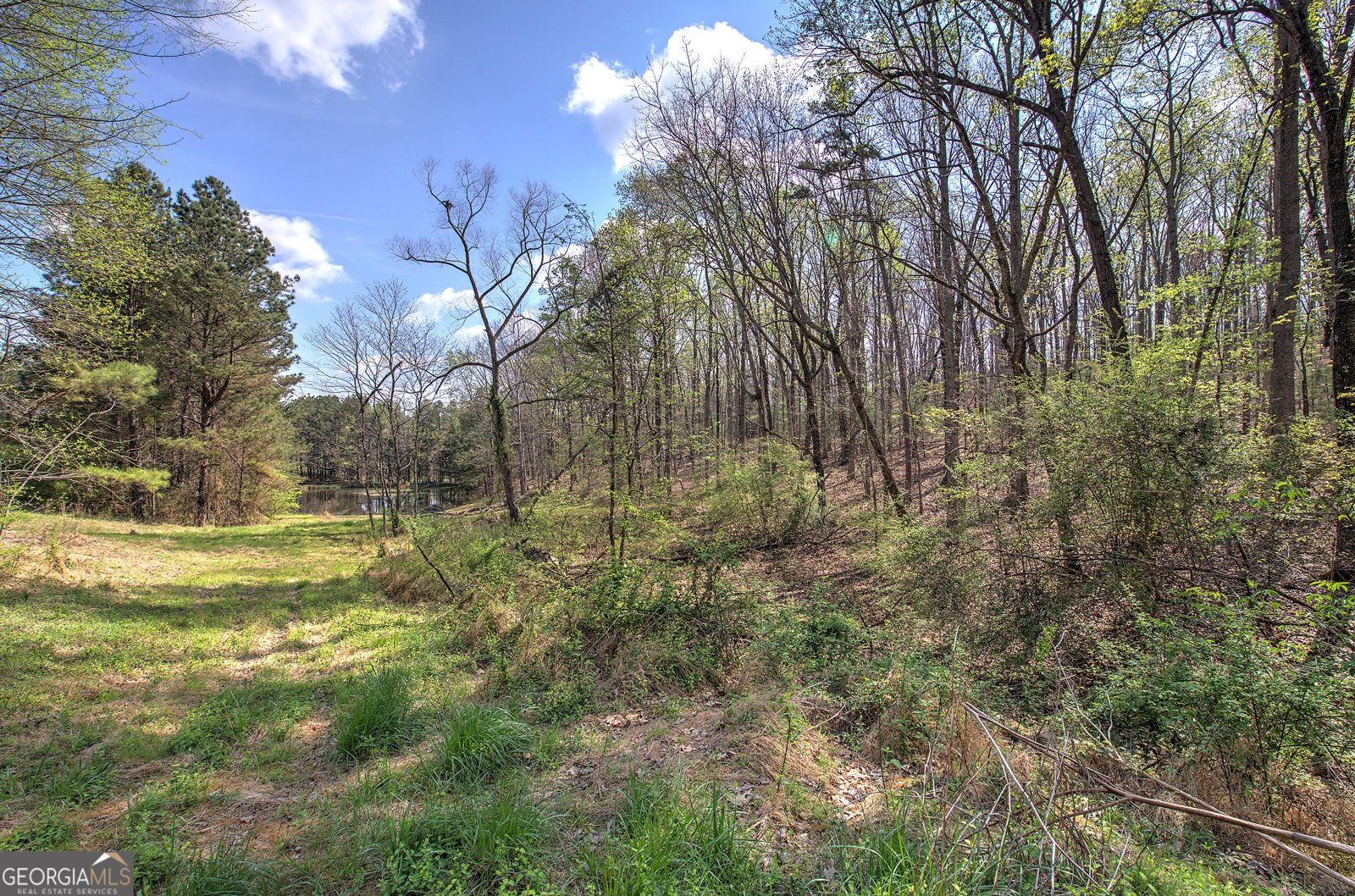 75 Star Wars Path Dallas - Photo 73