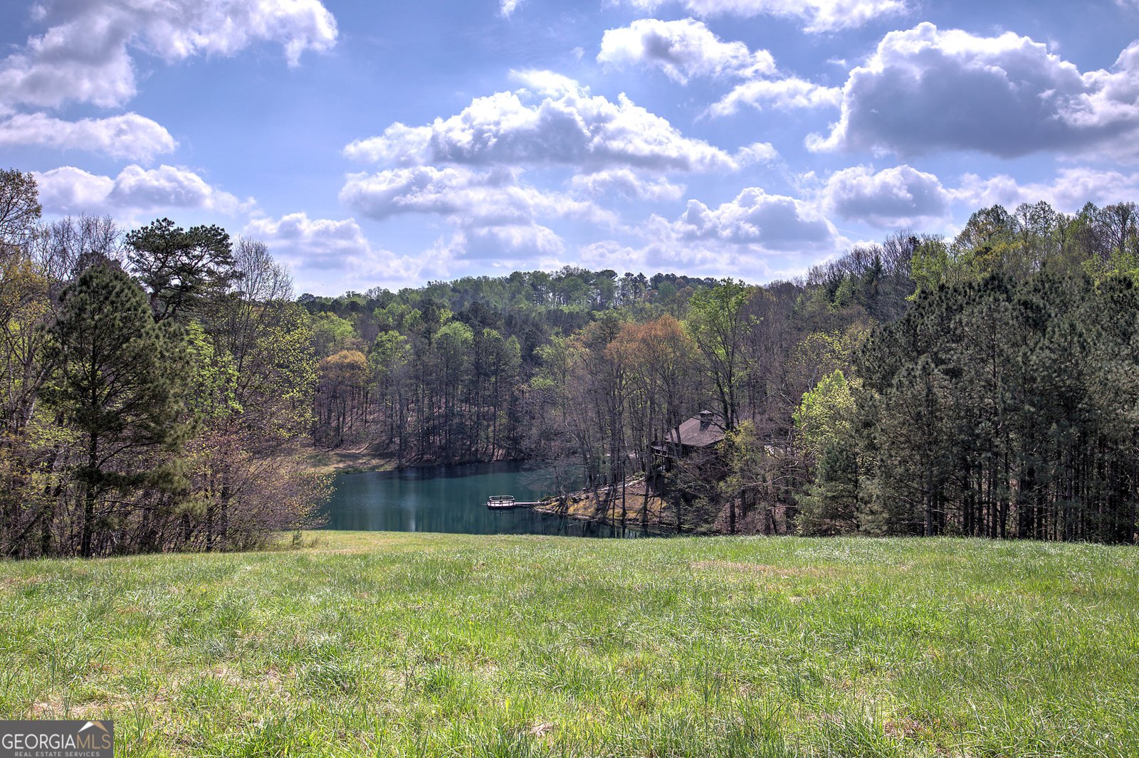 75 Star Wars Path Dallas - Photo 75