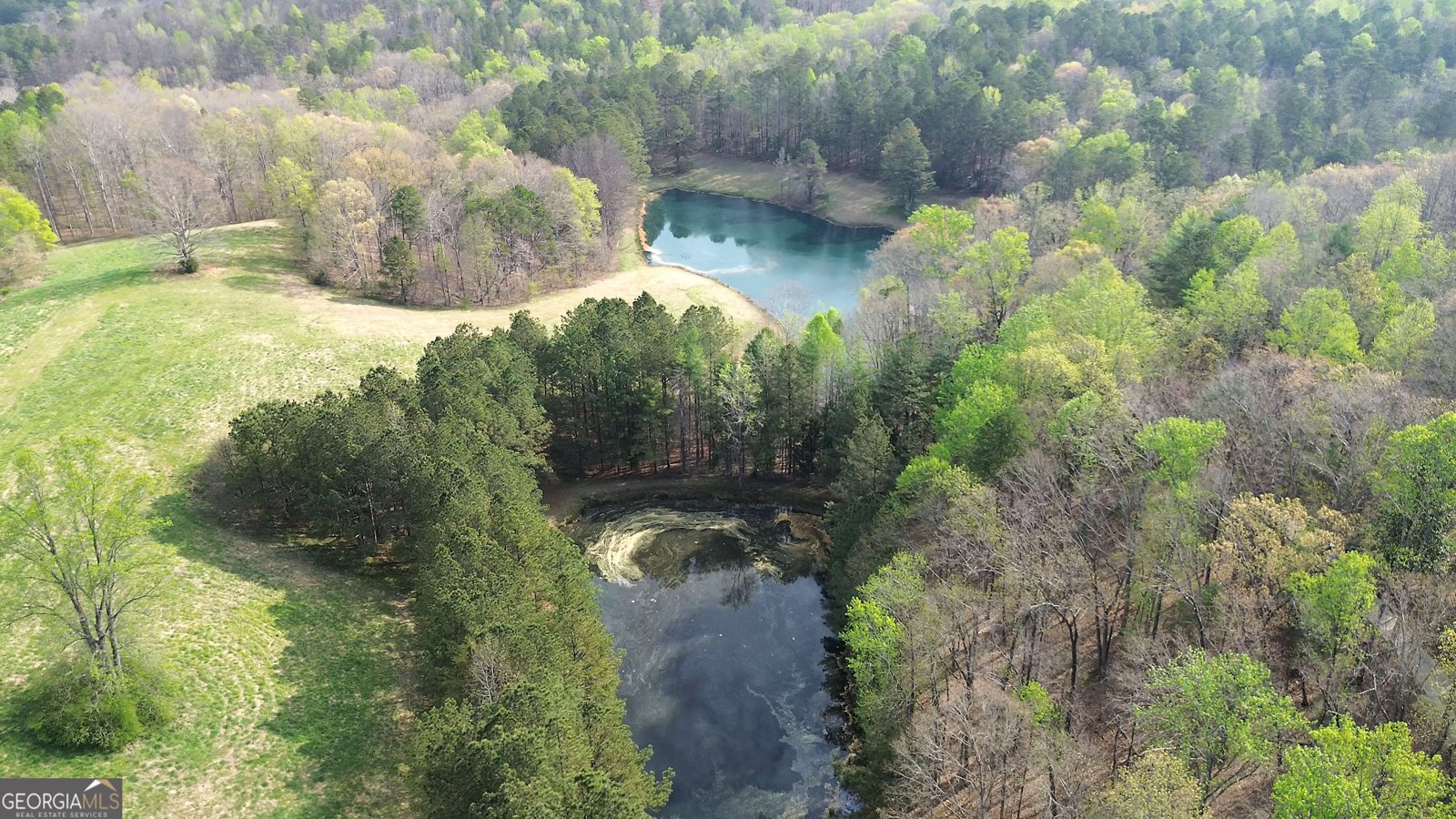 75 Star Wars Path Dallas - Photo 81