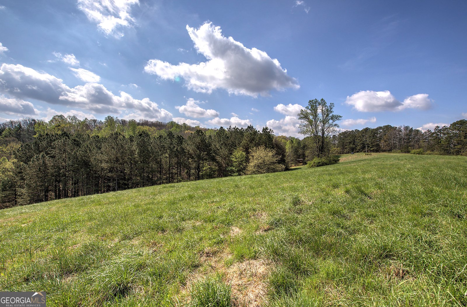 75 Star Wars Path Dallas - Photo 91