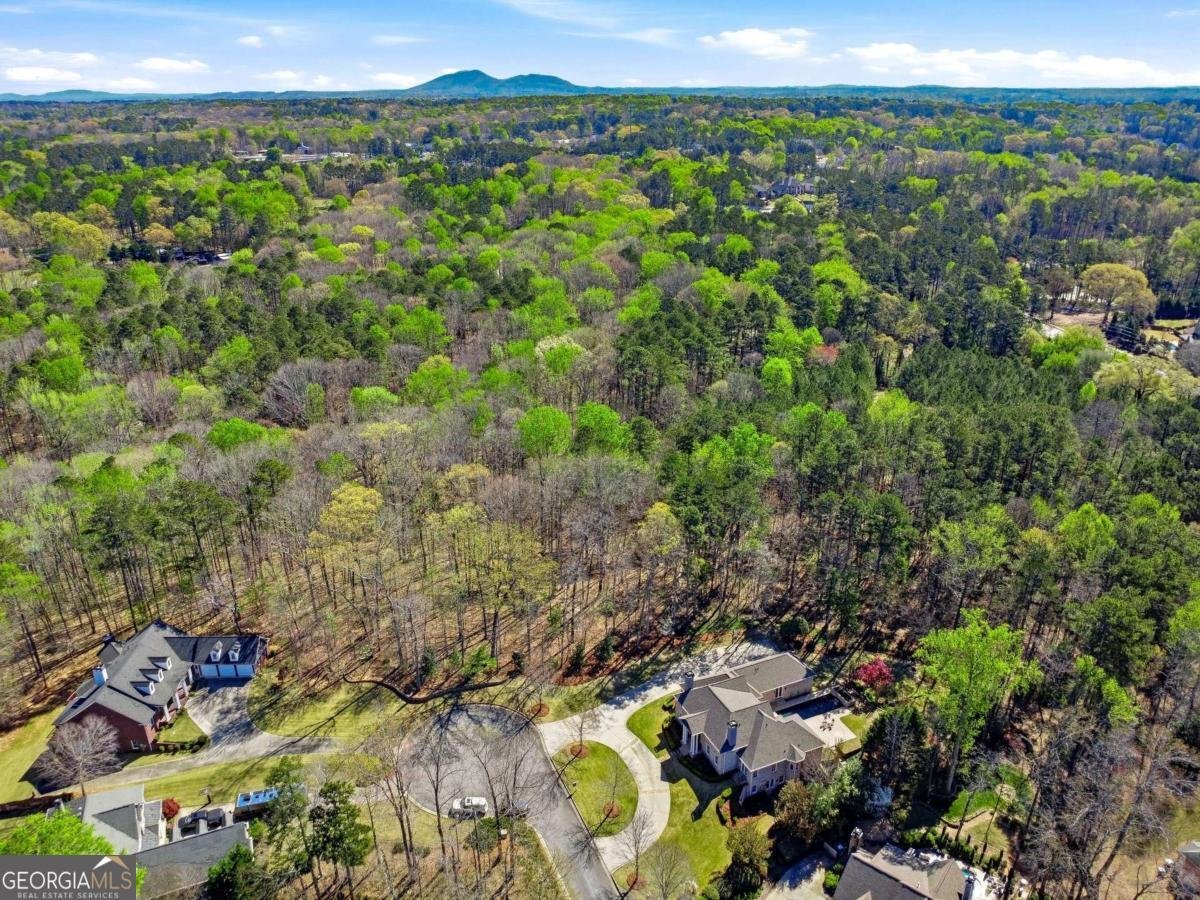 542 Earlvine Way Kennesaw - Photo 57