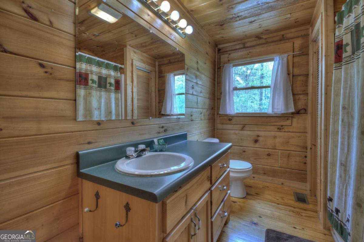 220 Lakota Lane Mineral Bluff - Photo 20