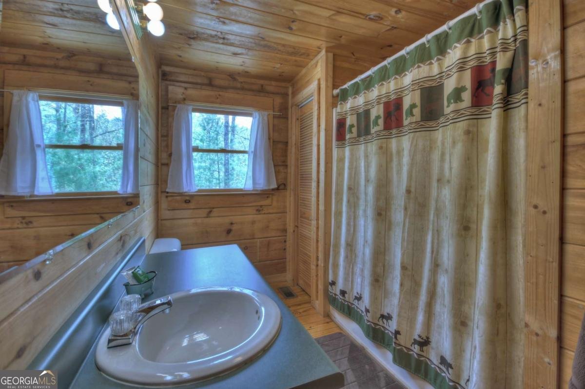 220 Lakota Lane Mineral Bluff - Photo 21