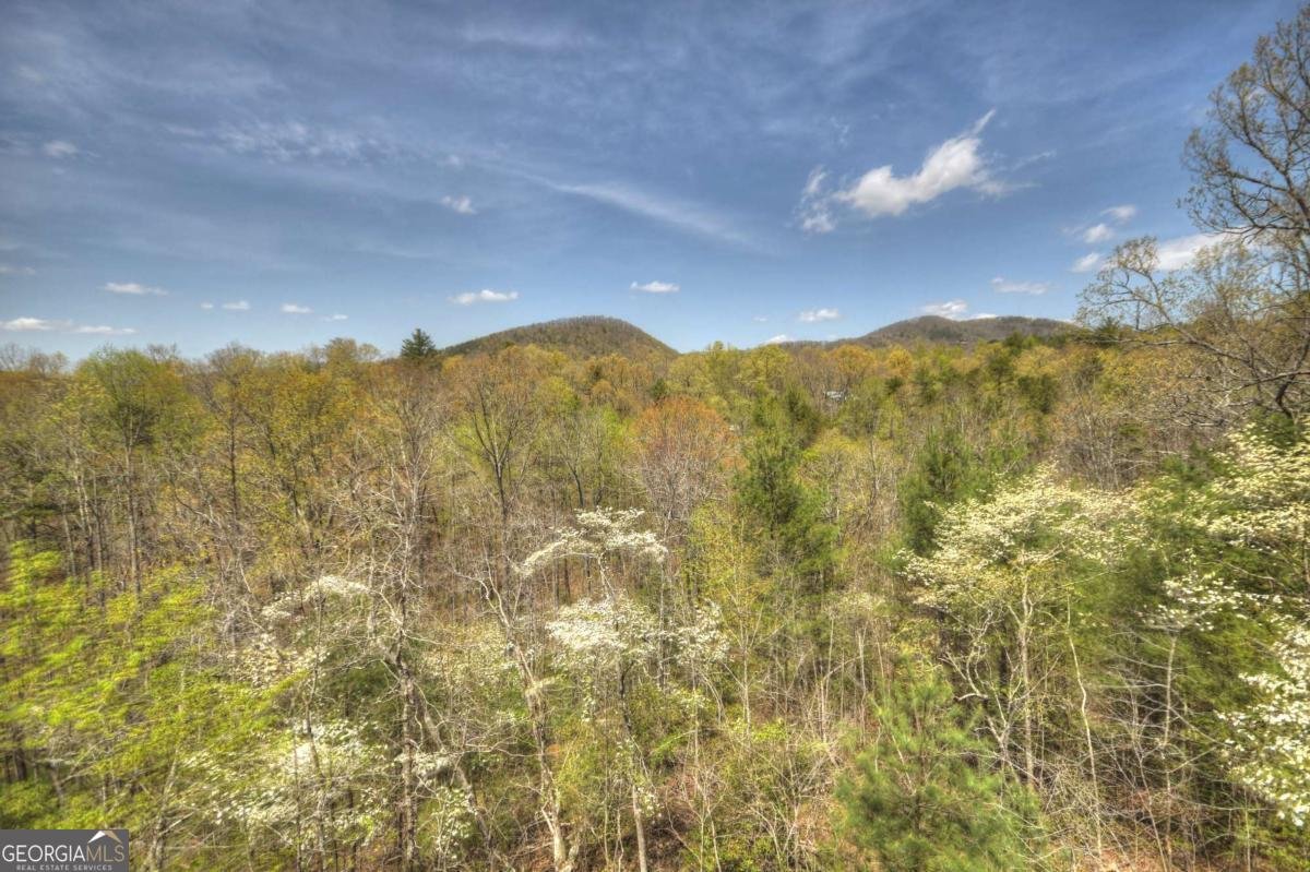 220 Lakota Lane Mineral Bluff - Photo 28