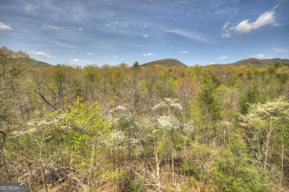 220 Lakota Lane Mineral Bluff - Photo 29