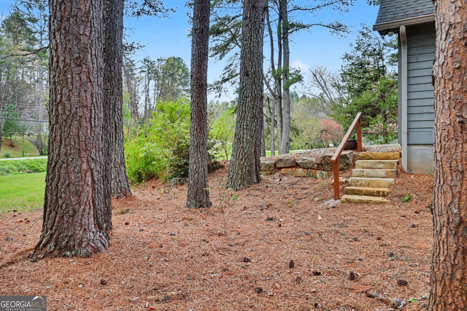 18 Saga Mountain Road Tiger - Photo 42