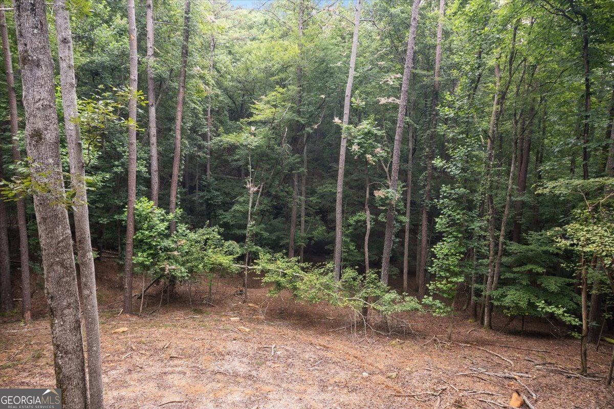 129 Monticello Drive Ellijay - Photo 46