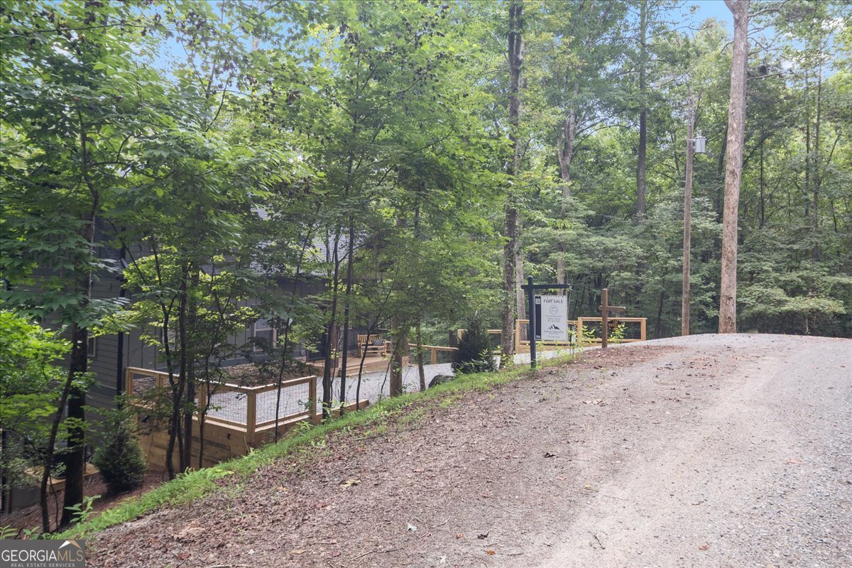 129 Monticello Drive Ellijay - Photo 47