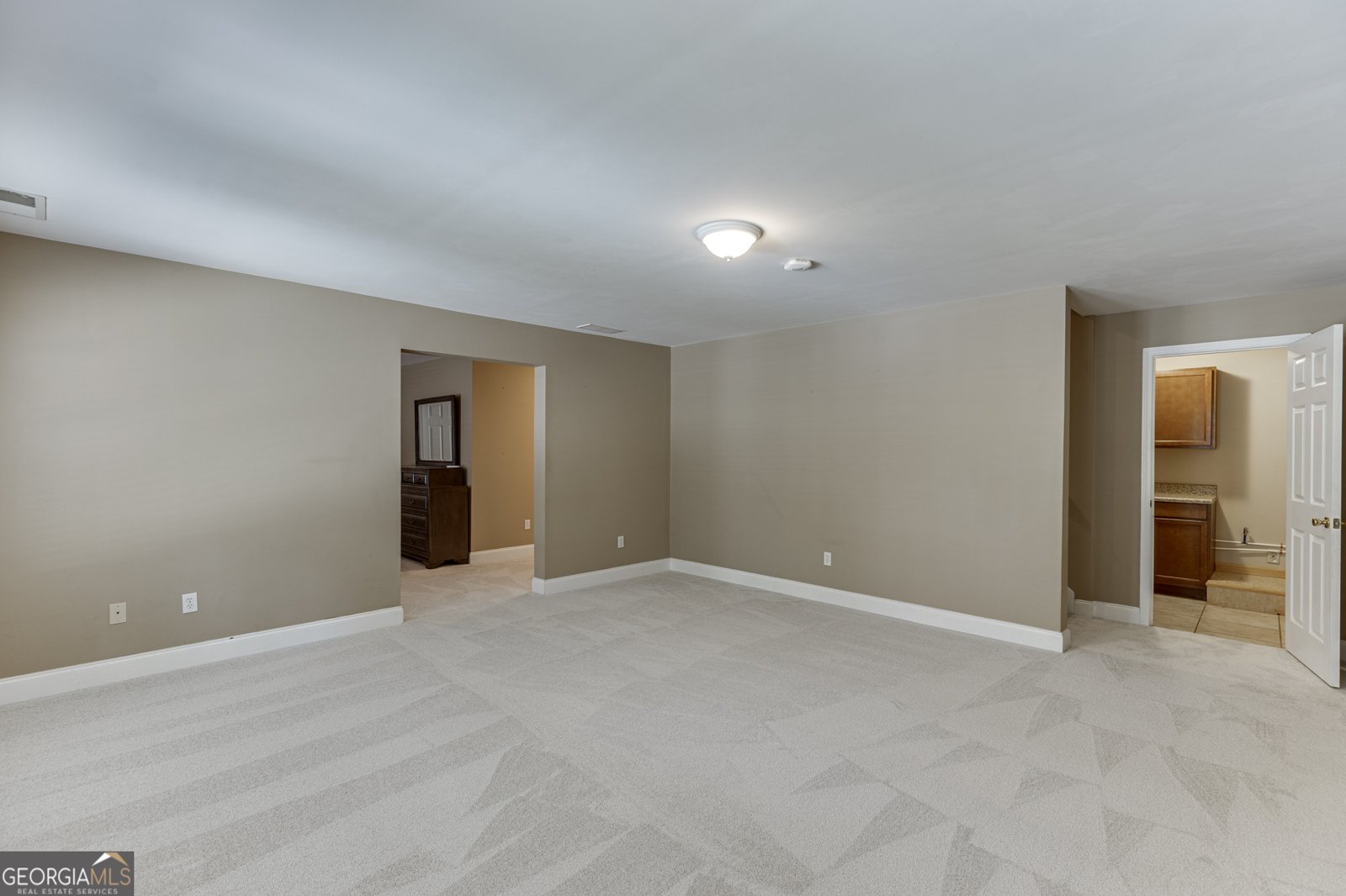 203 Whitaker Way Hoschton - Photo 52