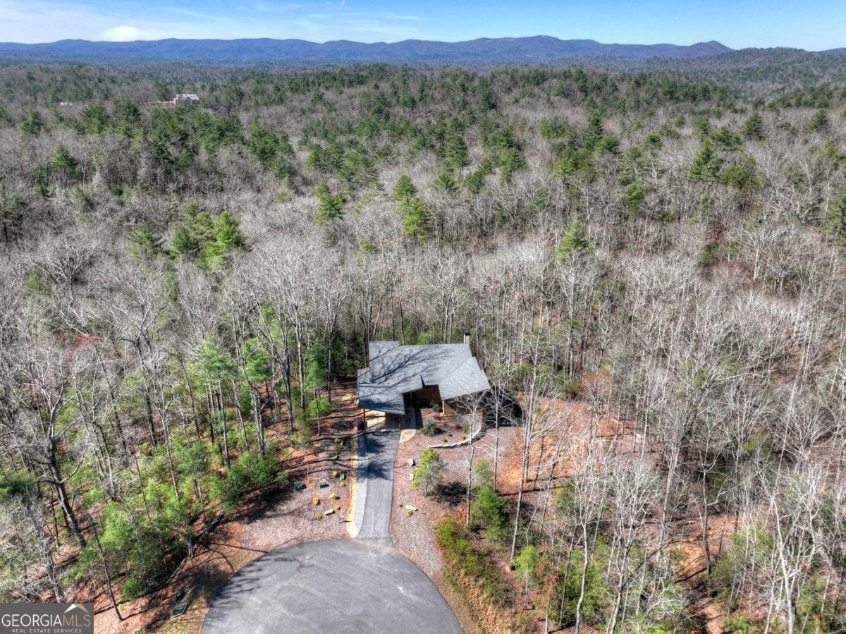 466 Watersong Bluff Ellijay - Photo 6