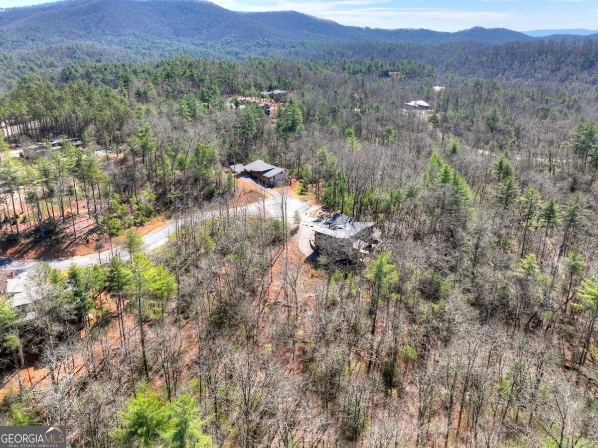 466 Watersong Bluff Ellijay - Photo 7