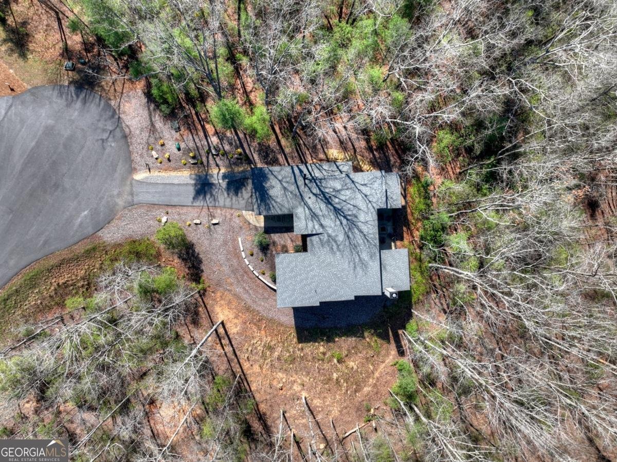 466 Watersong Bluff Ellijay - Photo 8