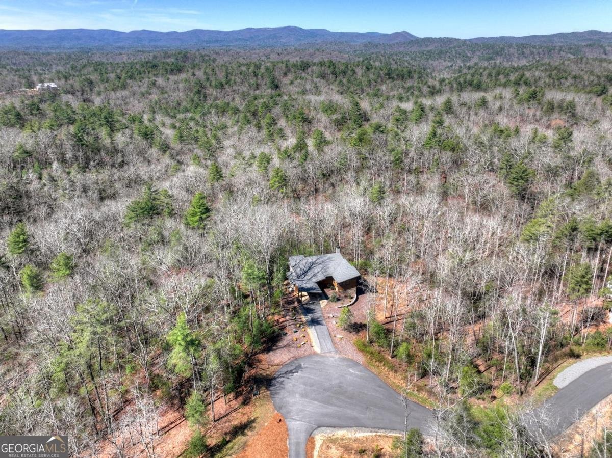 466 Watersong Bluff Ellijay - Photo 9