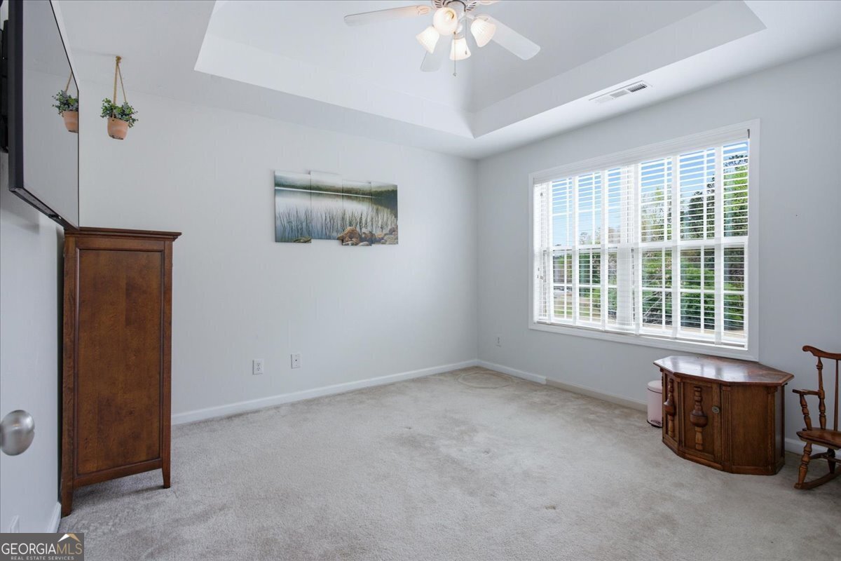 34 Willow Bend Way Senoia - Photo 41