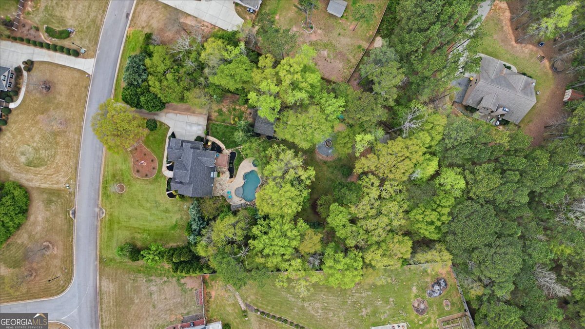 34 Willow Bend Way Senoia - Photo 82