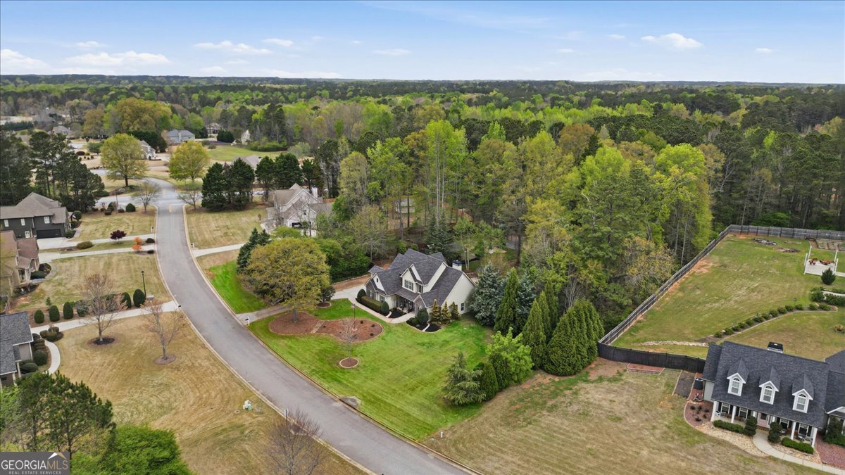 34 Willow Bend Way Senoia - Photo 86