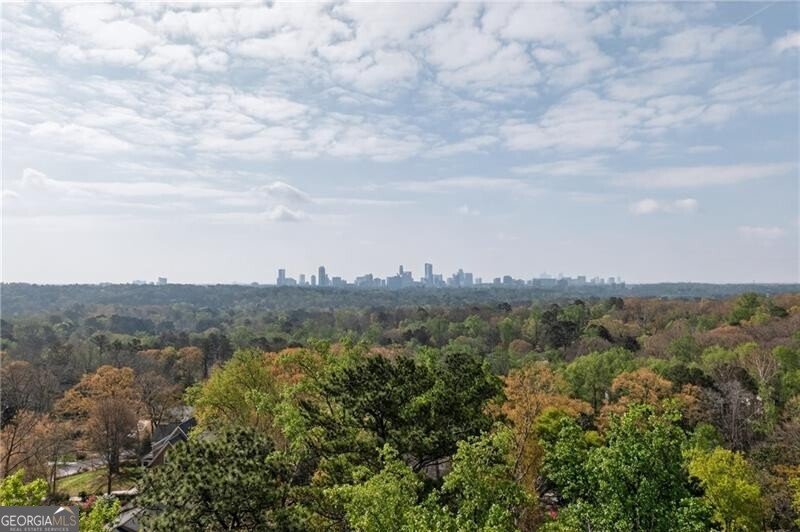 5020 Vallo Vista Court Atlanta - Photo 49