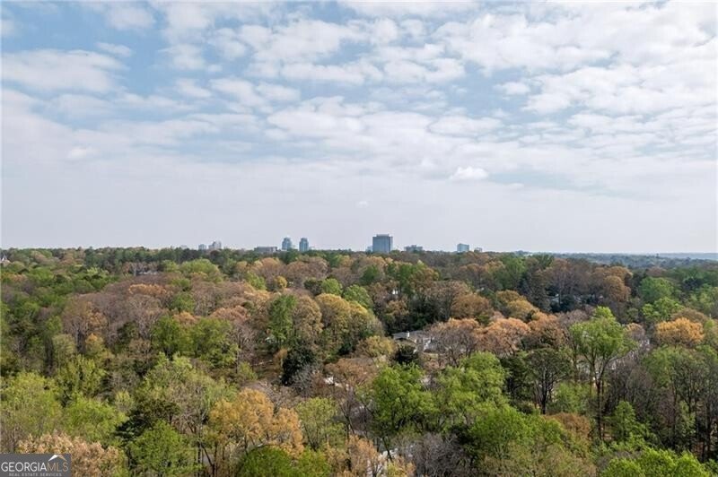 5020 Vallo Vista Court Atlanta - Photo 50