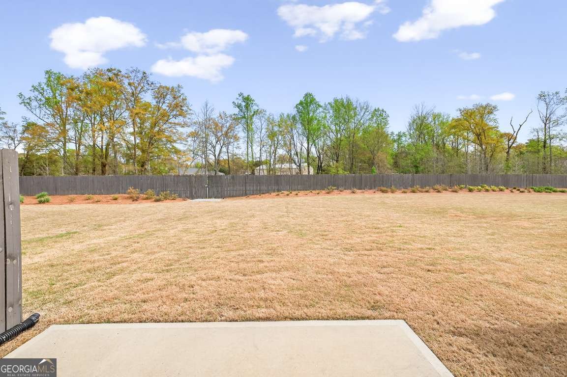 173 Buckingham Lane Hoschton - Photo 31