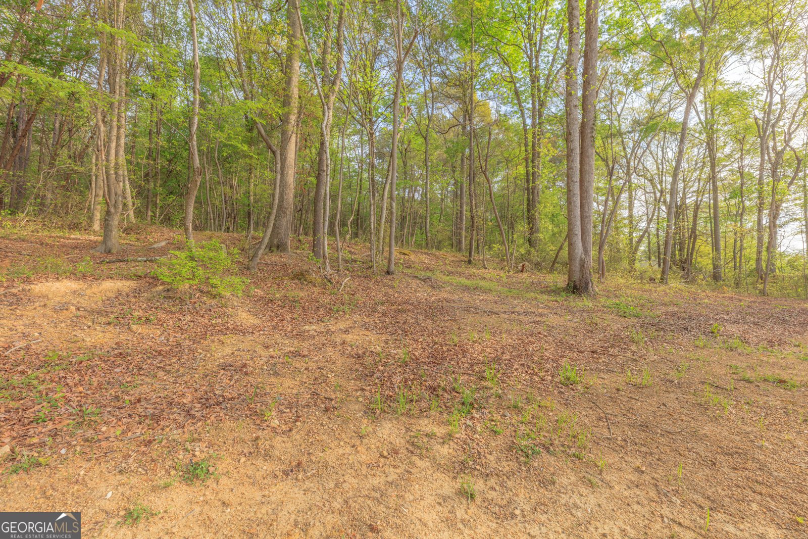 102 Bandy Road Lafayette - Photo 29