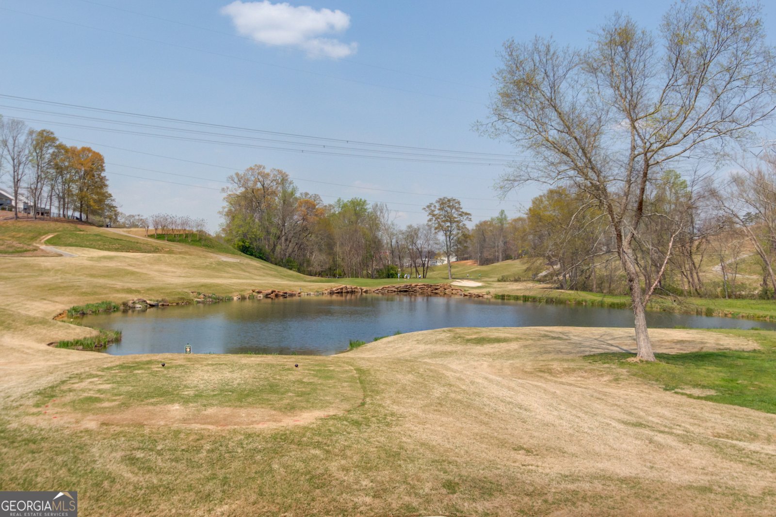 6378 Hickory Branch Drive Hoschton - Photo 56