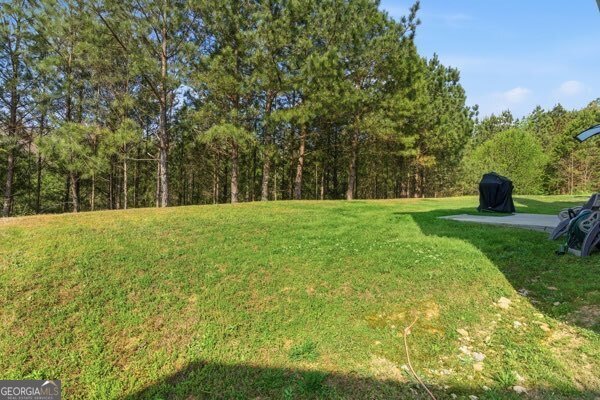 4925 Locherby Drive Fairburn - Photo 71