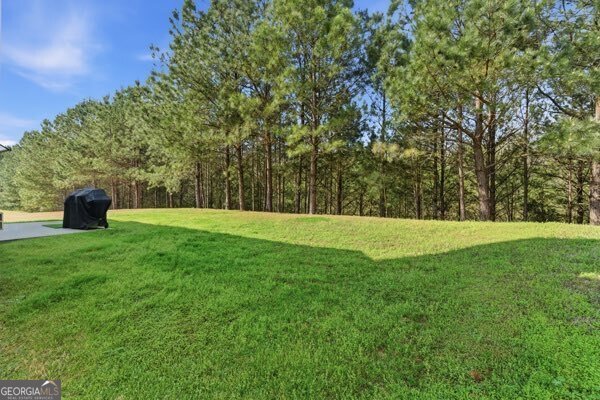 4925 Locherby Drive Fairburn - Photo 72