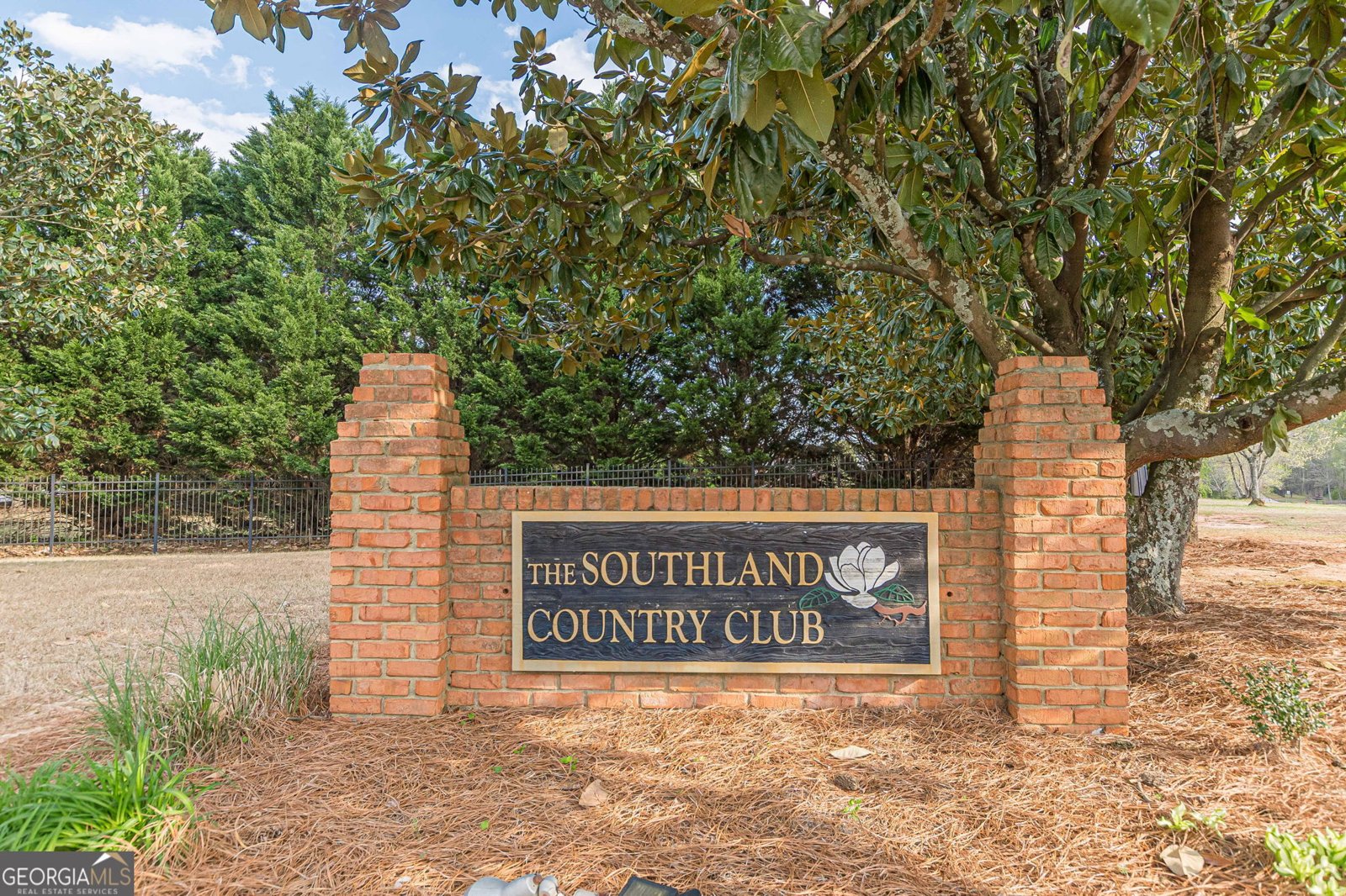 775 Southland Pass Stone Mountain - Photo 66