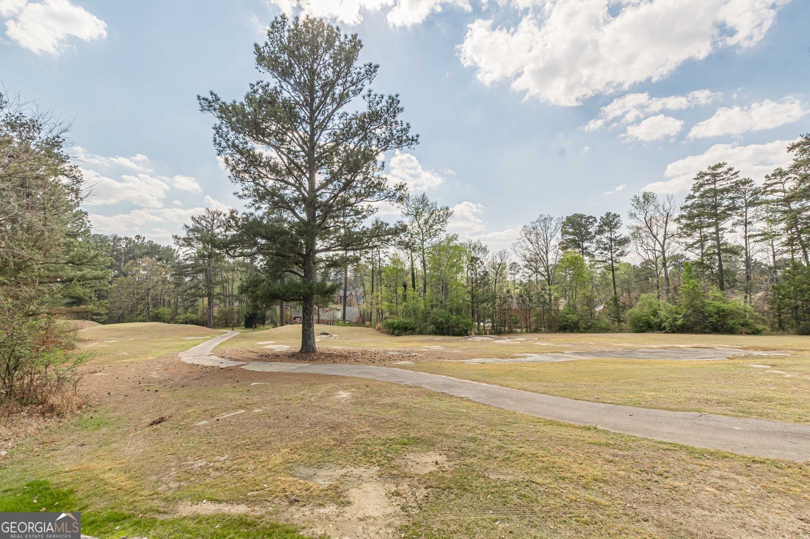 775 Southland Pass Stone Mountain - Photo 85