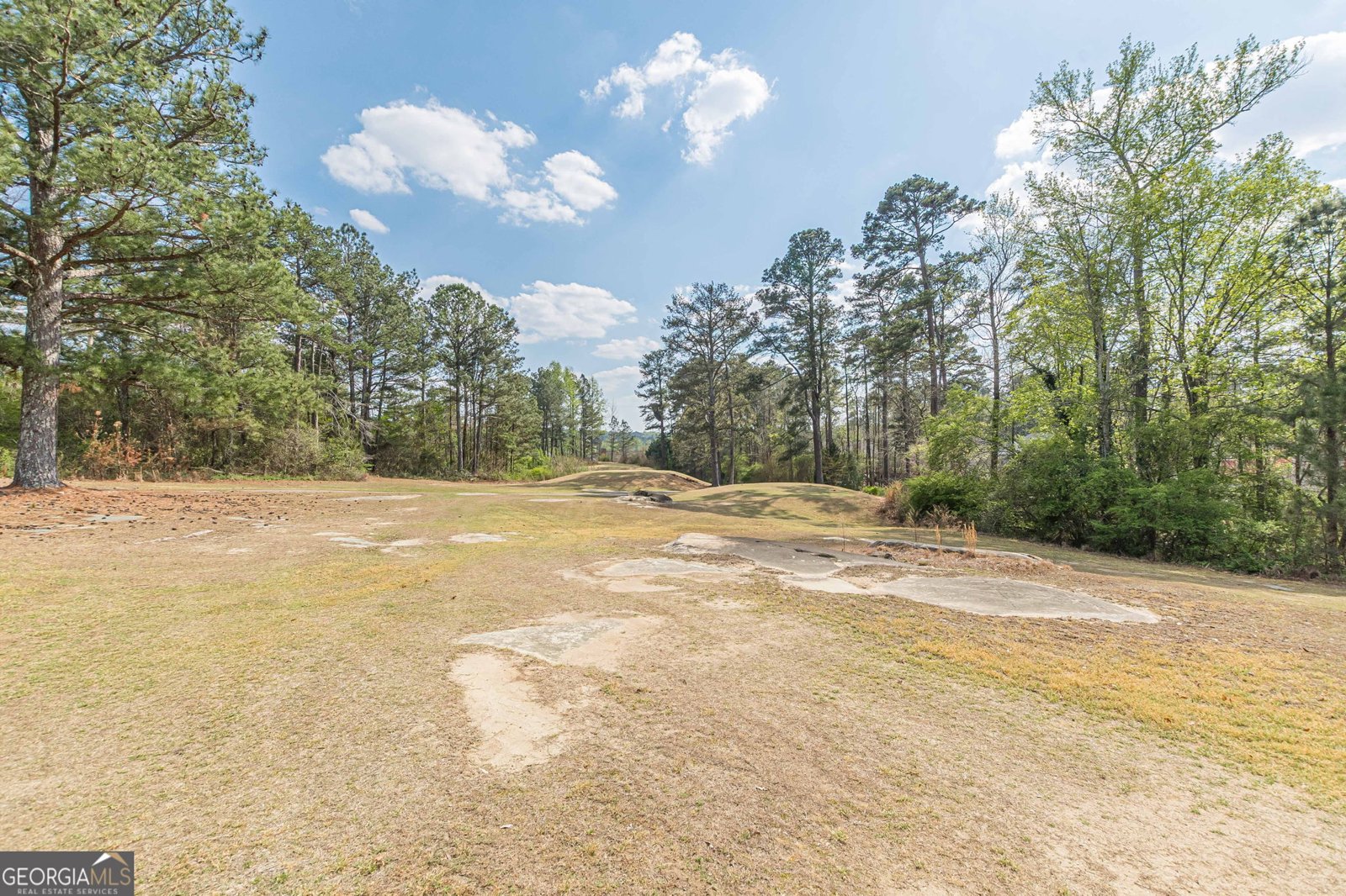 775 Southland Pass Stone Mountain - Photo 87