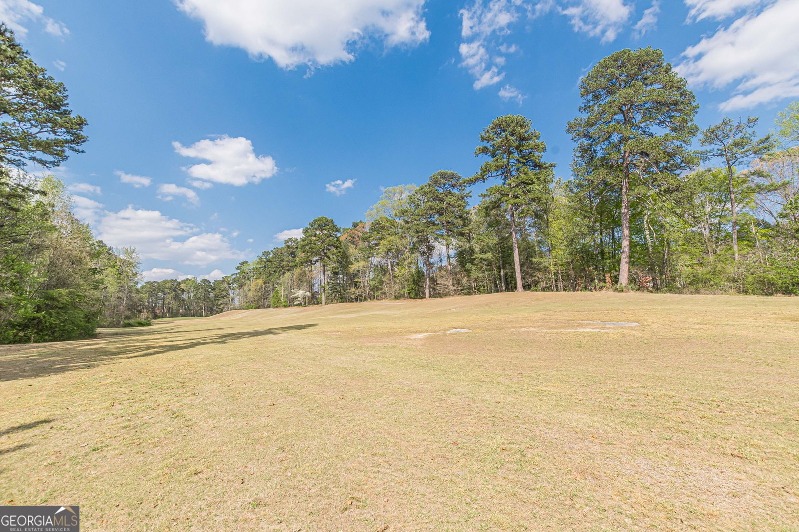 775 Southland Pass Stone Mountain - Photo 88