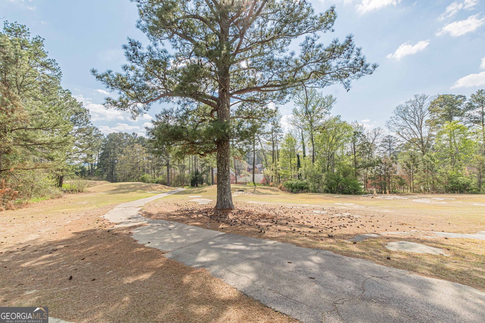 775 Southland Pass Stone Mountain - Photo 89