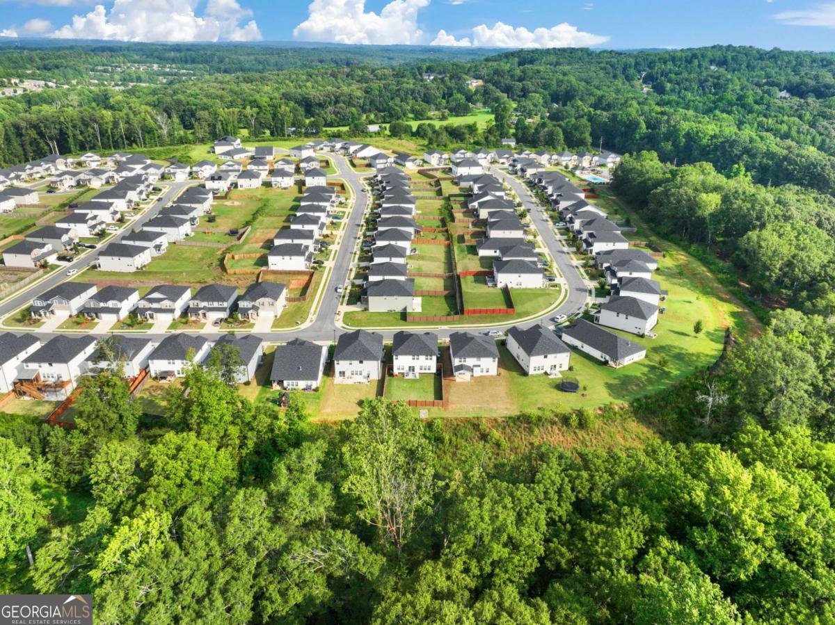 5876 HACKBERRY Lane Braselton - Photo 47