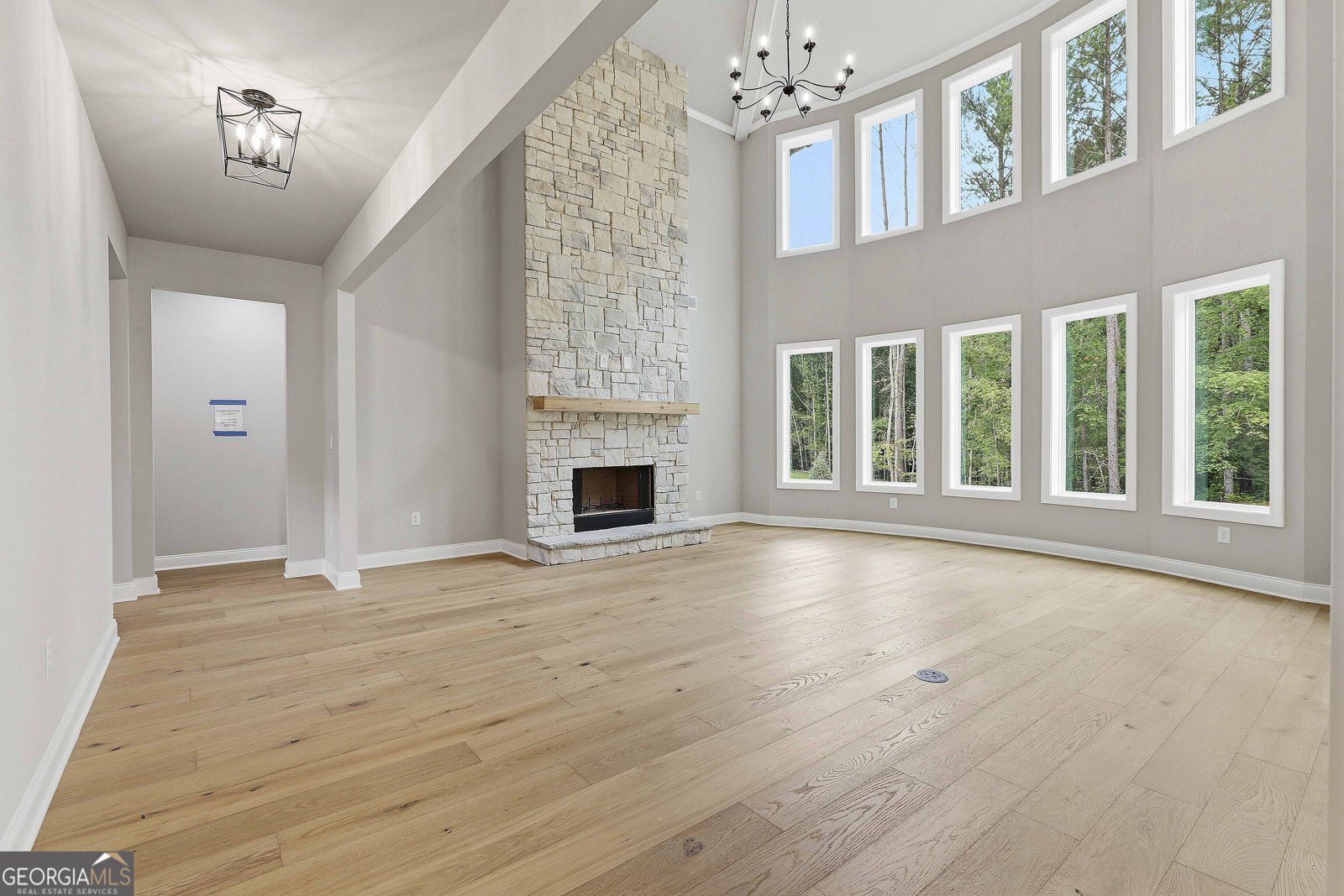 71 Marsh Hawk Court Senoia - Photo 10