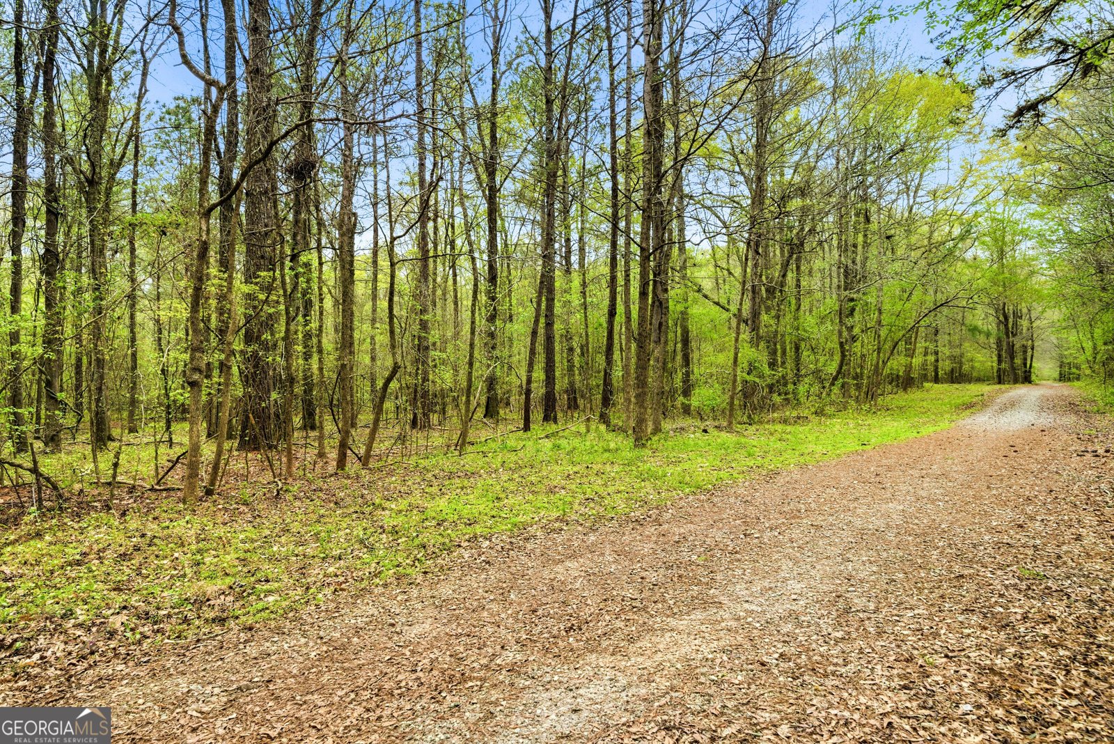 120 Michael Court Fayetteville - Photo 35