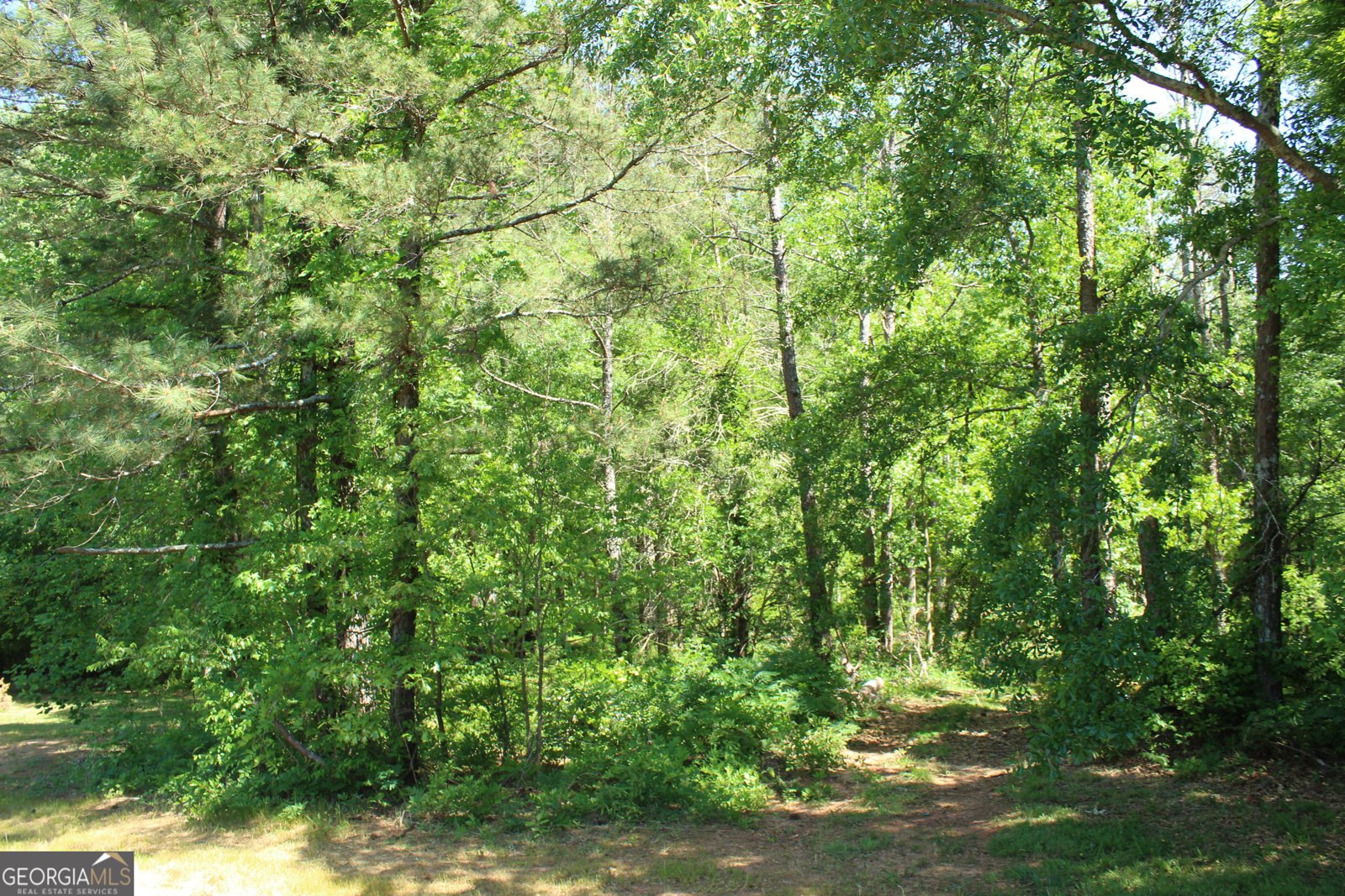 2028 Highway 211 Statham - Photo 32