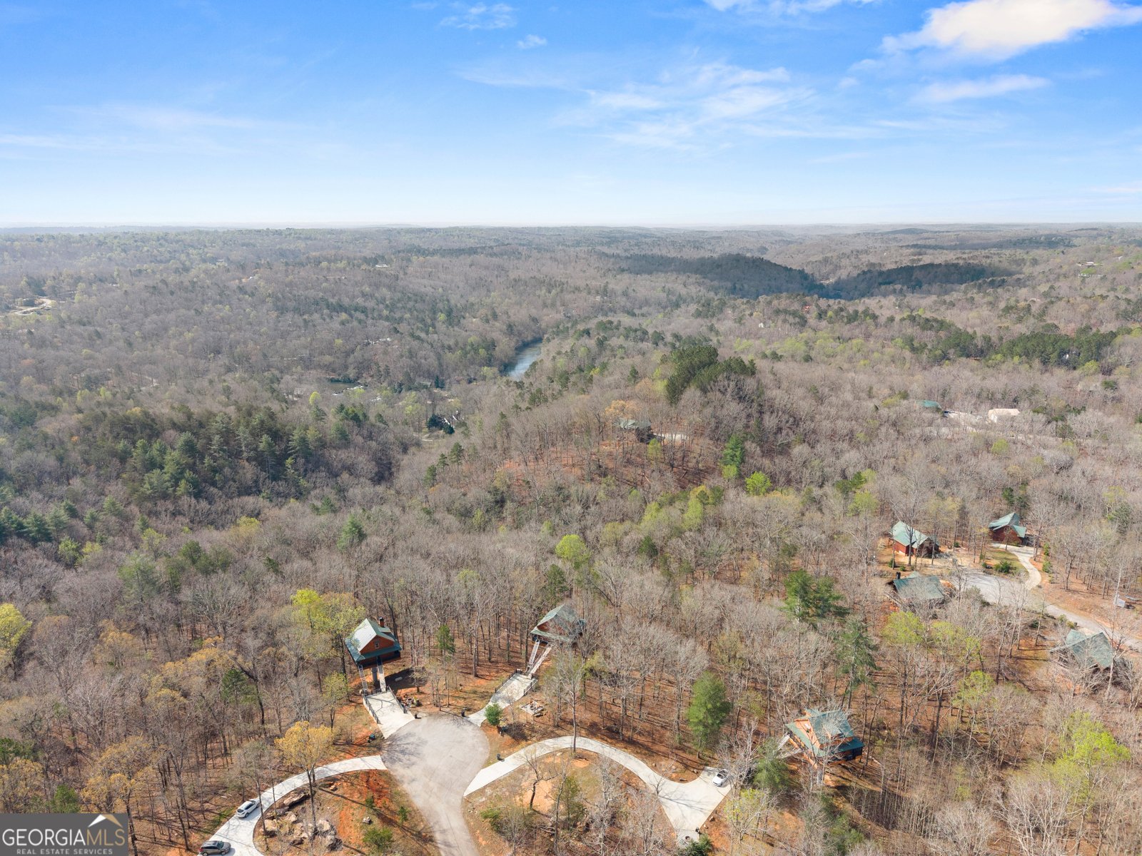 184 Walnut Ridge Drive Cleveland - Photo 48