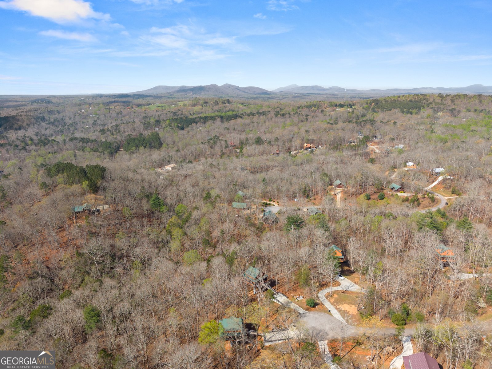 184 Walnut Ridge Drive Cleveland - Photo 49