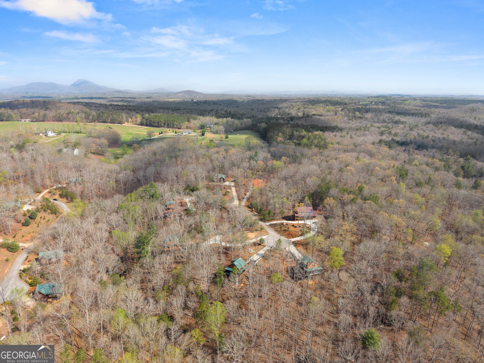 184 Walnut Ridge Drive Cleveland - Photo 52