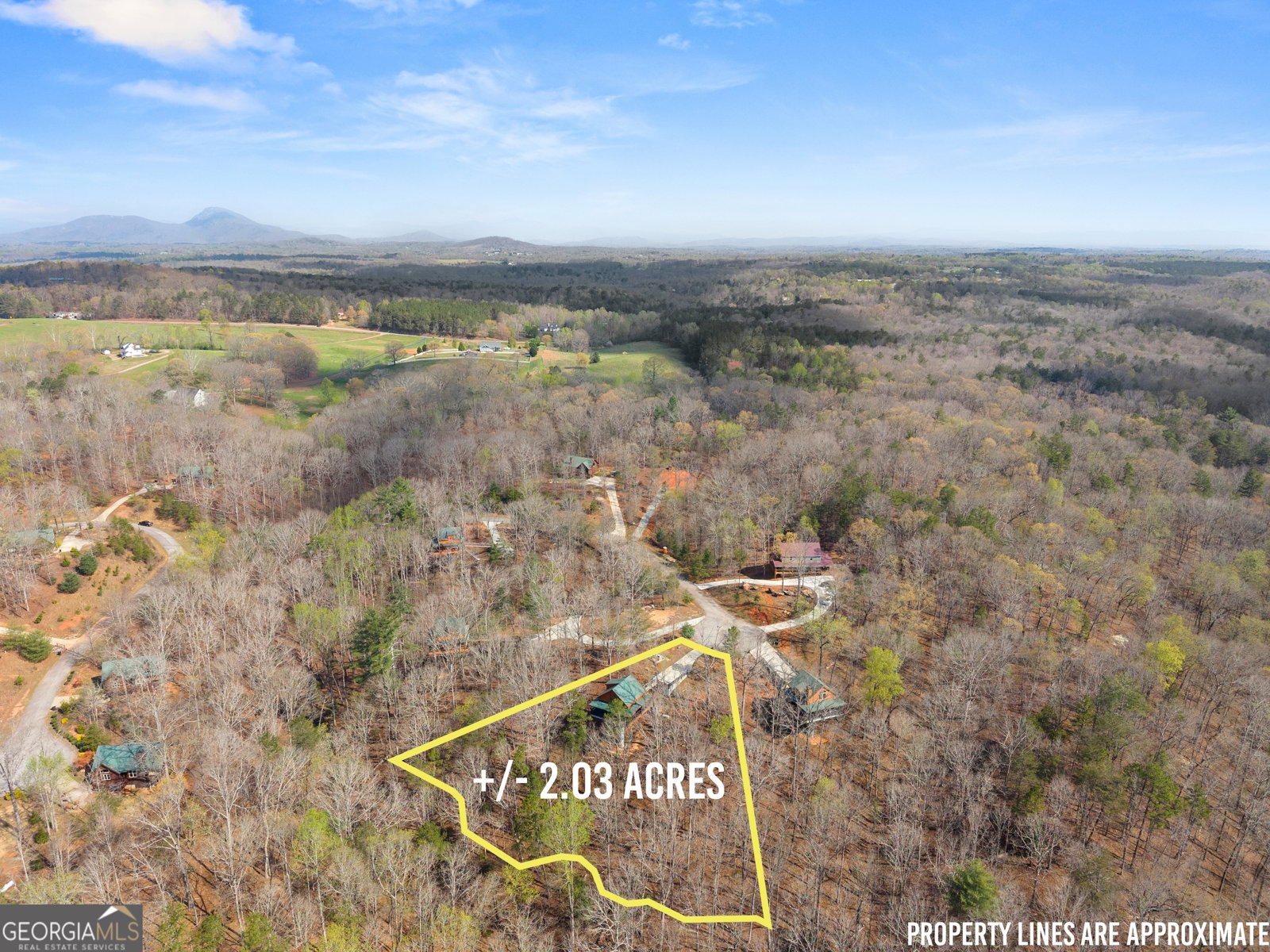 184 Walnut Ridge Drive Cleveland - Photo 53